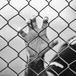 (decorative img) Nashville Probation Violation Lawyer. Davidson County Criminal Defense.